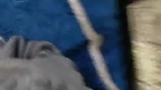 二零二三七月十六_谢谢哥哥的到来