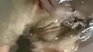 她的绿帽老公在旁边也不知道真睡还是装睡